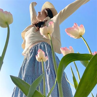 绝命毒师第五季